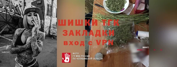 ПСИЛОЦИБИНОВЫЕ ГРИБЫ Тайга