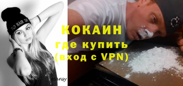 spice Ельня