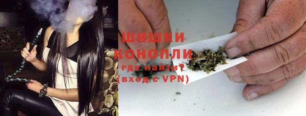 spice Ельня