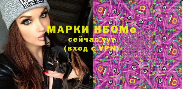spice Ельня