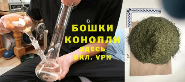 spice Ельня