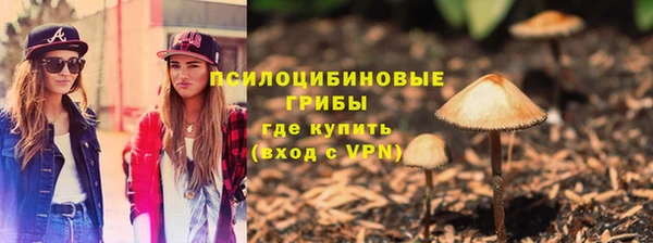 Альфа ПВП Елизово