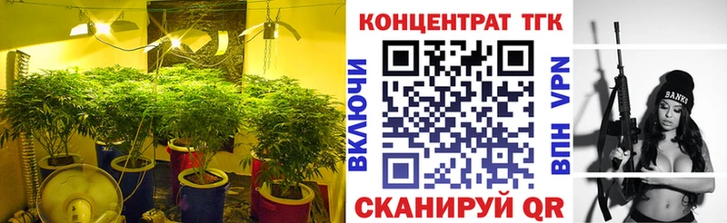 ТГК Wax  Купить  Рославль 